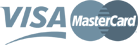 логотип платежных средств VISA